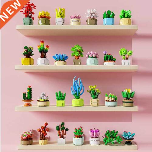 DIY Potted Plants Succulents Cactus Gypsophila Bonsai ree Ga