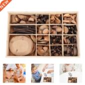 Wood Slices Branch Set Hand Dry Material Natural