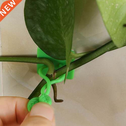 100pcs Invisible Wll Rttn Clmp Clip Plnt Climbing Wll