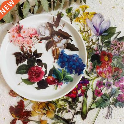 Vintage Large Size Flower Illustration Sticker  scrapbook