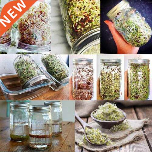Sprouting Jar with 304 Stainless Steel Screen Lid Wide Mouth
