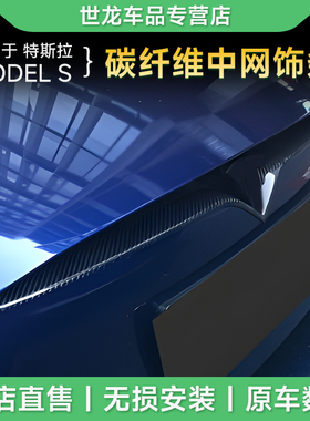 适用于14-22 Tesla特斯拉model S碳纤维前唇中网饰条框 干碳前唇