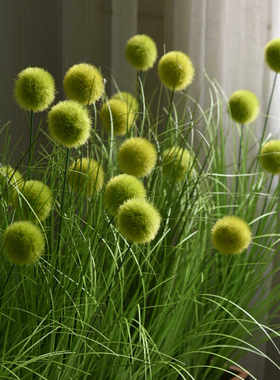 绿植隔断套装花槽售楼部塑料餐厅