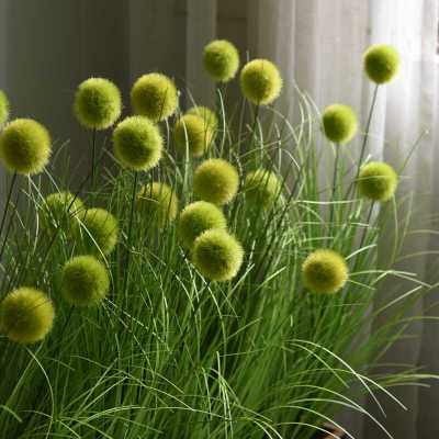 绿植隔断套装花槽售楼部塑料餐厅