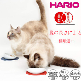 日本制有田烧进口猫碗陶瓷高脚猫碗猫食盆猫水碗猫饭盆宠物碗吃饭