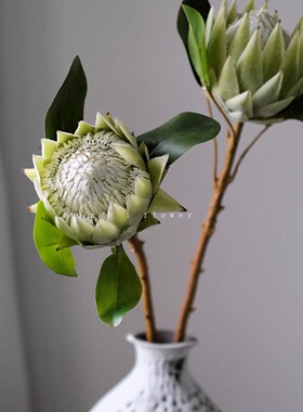 白绿大帝王花仿真花桌面摆件