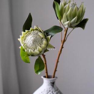 白绿大帝王花仿真花单支高级感逼真客厅花艺插花家居桌面装饰摆件