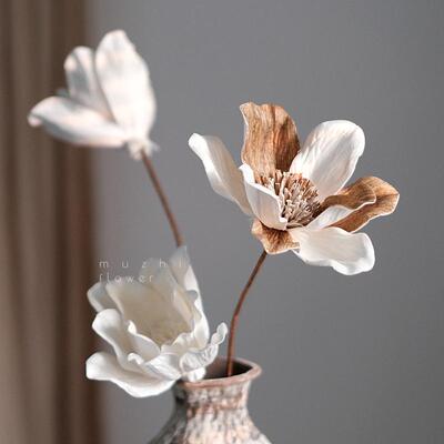 美黑客白玉牡丹干花花束插
