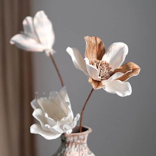 美黑客白玉牡丹干花花束插