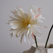 muzhi高级感逼真仿真花假花昙花客厅餐桌装 饰摆件花艺插花