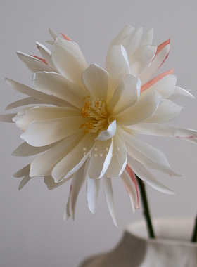 muzhi高级感逼真仿真花假花昙花客厅餐桌装饰摆件花艺插花