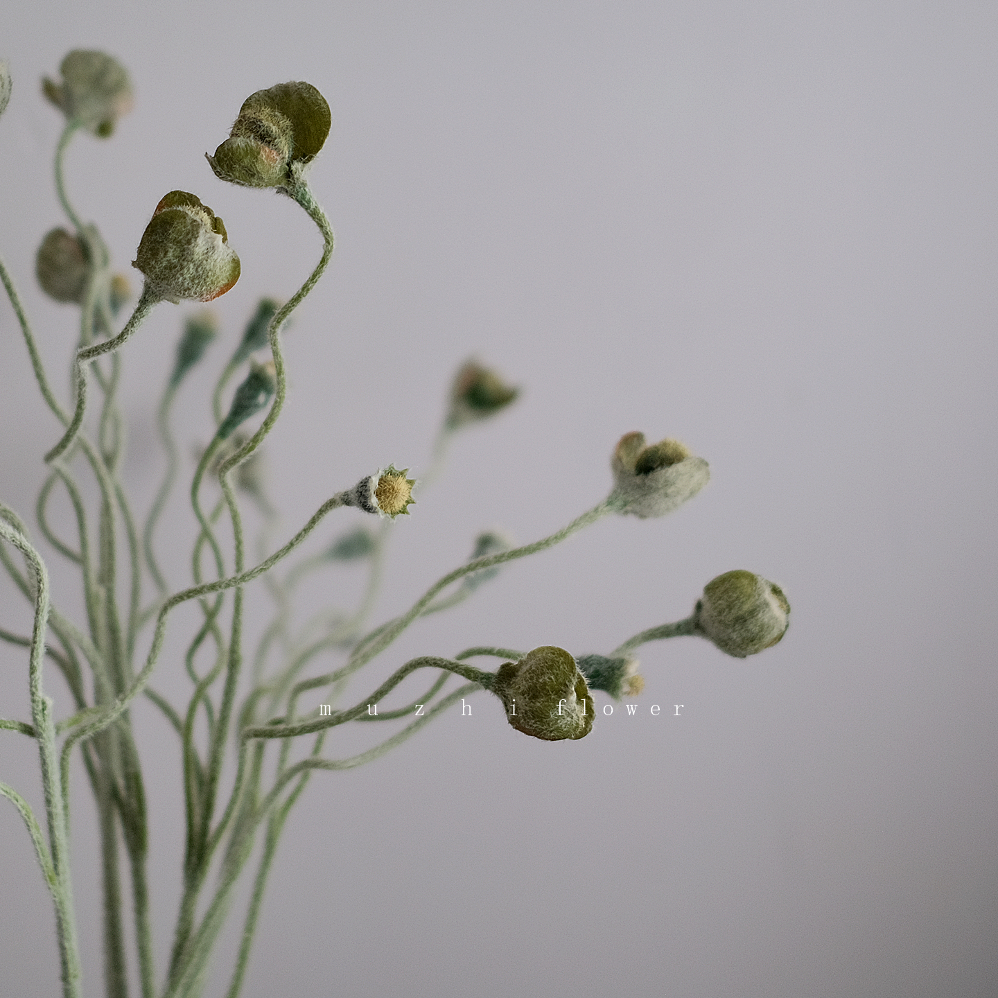禅意绿色花苞枝仿真花