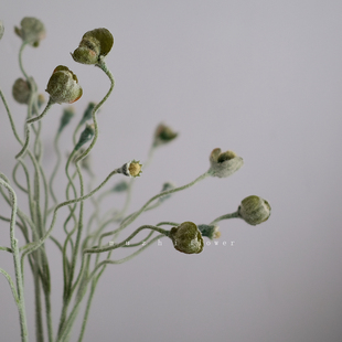 muzhi仿真花高级感逼真绿色花苞枝禅意客厅插花摆设轻奢花艺装 饰