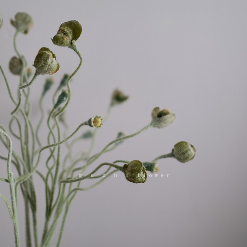 禅意绿色花苞枝仿真花