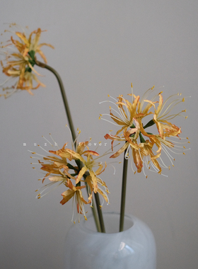 高级感逼真柑橘彼岸花轻奢客厅摆设花艺插花装饰摆件绢花假花