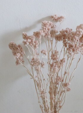 日本进口永生花diy材料麦秆菊雪绒花紫粉白色干花花束家居30140