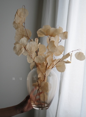干花花束 客厅摆设ins天然真花高级玻璃花瓶轻奢摆件装饰品永生花