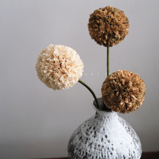 muzhi轻奢高端手工干花真花龙角球葱球花高级感客厅装 饰花艺插花