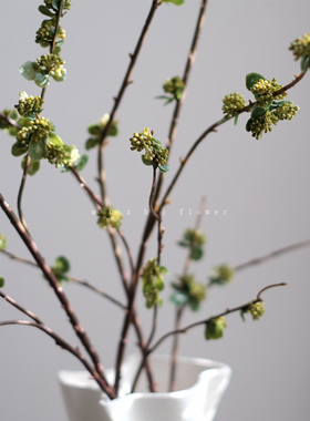 新年高级感绿色花苞枝芽客厅摆件逼真花艺插花侘寂风仿真花枝装饰