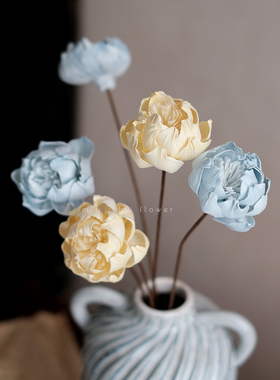 芍药干花花束客厅摆设高级感真花风干天然通草花手工花桌面摆件