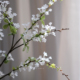 muzhi轻奢高端透白色雪柳仿真花束客厅装 饰花艺插花高级家居摆件