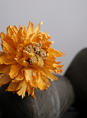 金蕊牡丹干花花束高级感天然真花轻奢高端客厅装饰摆件永生花