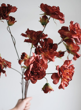 仿真花 枯玫瑰花束摆件客厅摆设复古高枝ins风假花插花艺家居装饰