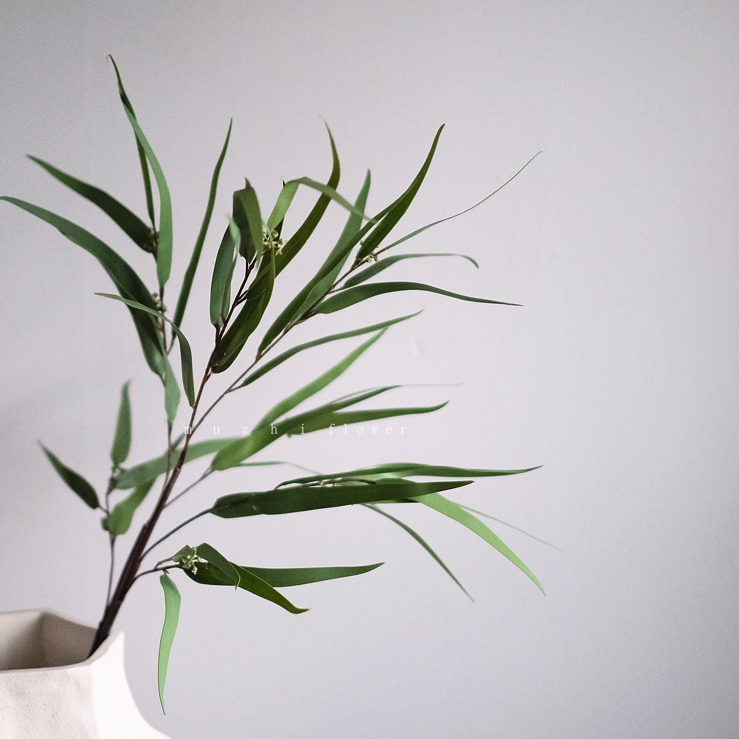 muzhi轻奢高端逼真绿植仿真花束客厅装饰花艺插花高级感家居摆件