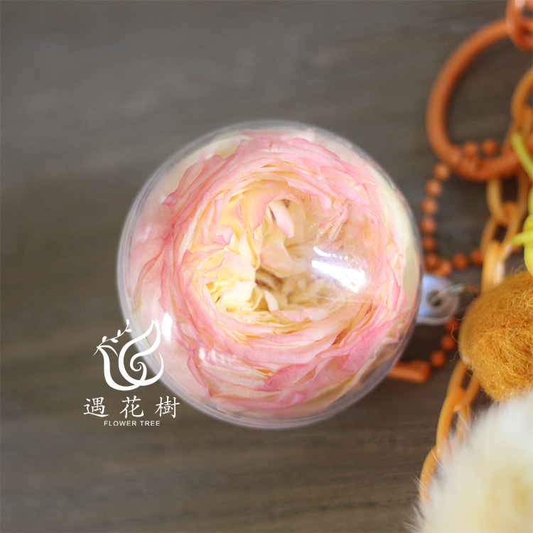 ÓÀÉú»¨³µ¹ÒÇòdiy²ÄÁÏÔ¿³×¿Û¹Ò¼þ¶à¹æ¸ñõ¹å4-8cmÓÀÉú»¨ÑÇ¿ËÁ¦Ô²Çò