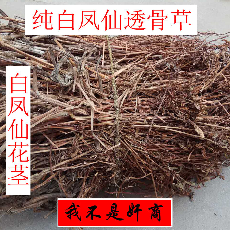 中药材透骨草 凤仙透骨草白色凤仙花花茎无叶无根整棵500克透骨草
