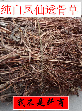 中药材透骨草 凤仙透骨草白色凤仙花花茎无叶无根整棵500克透骨草