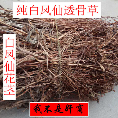 中药材白色凤仙透骨草