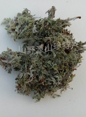干茵陈散装伏牛山茵陈茶正月采挖白蒿新鲜整棵干货茵陈蒿绵茵陈茶