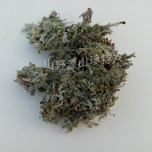 干茵陈散装伏牛山茵陈茶正月采挖白蒿新鲜整棵干货茵陈蒿绵茵陈茶