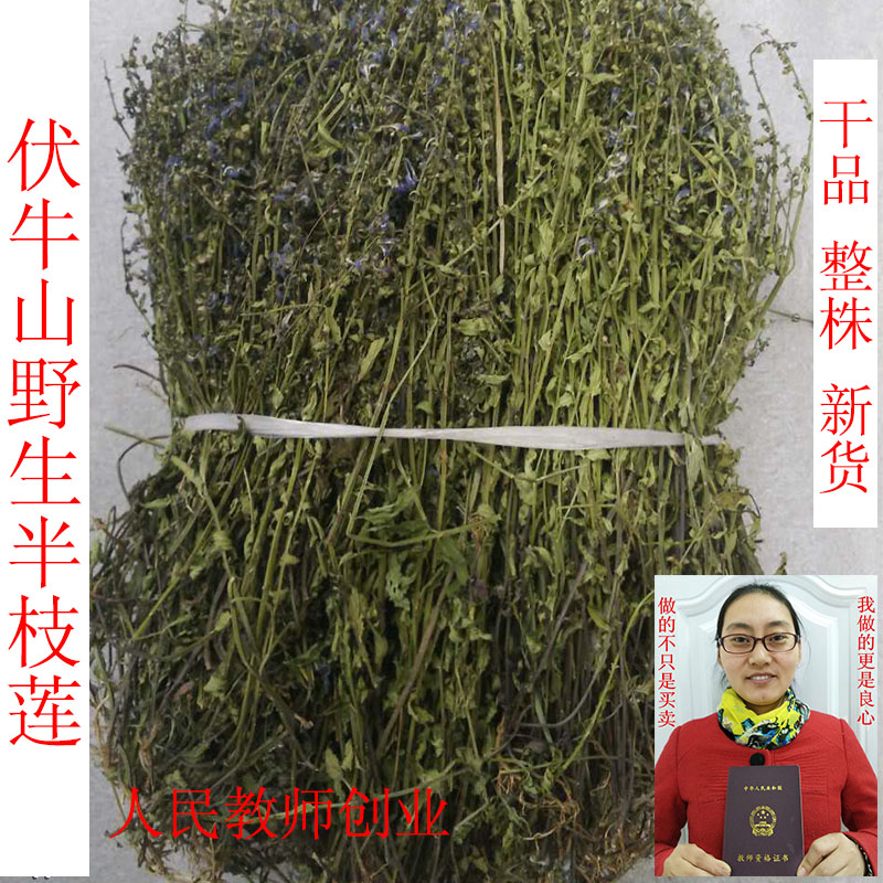 伏牛山野生半枝蓮干品2018新貨韓信草 挖耳通經草500克包郵品正品