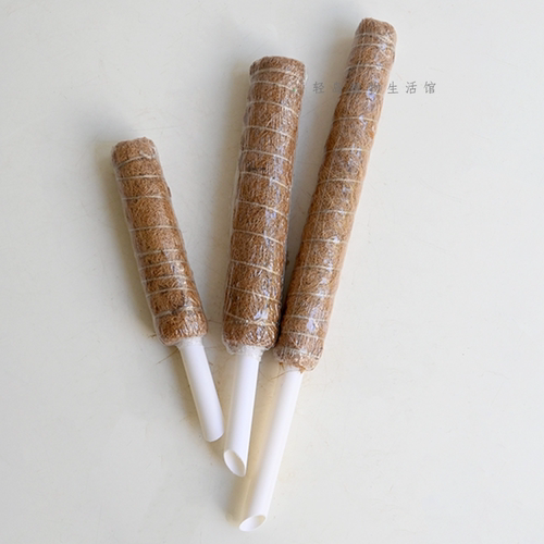 棕柱棒爬藤植物攀爬柱椰丝可拼接长度热带绿植爬藤用水苔柱pvc管
