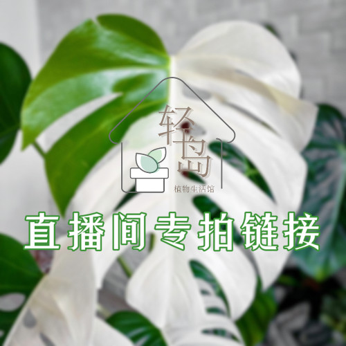 轻岛植物直播专拍福利秒杀