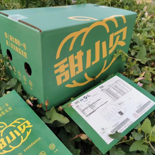甜小贝惠和一号贝贝南瓜粉糯甜