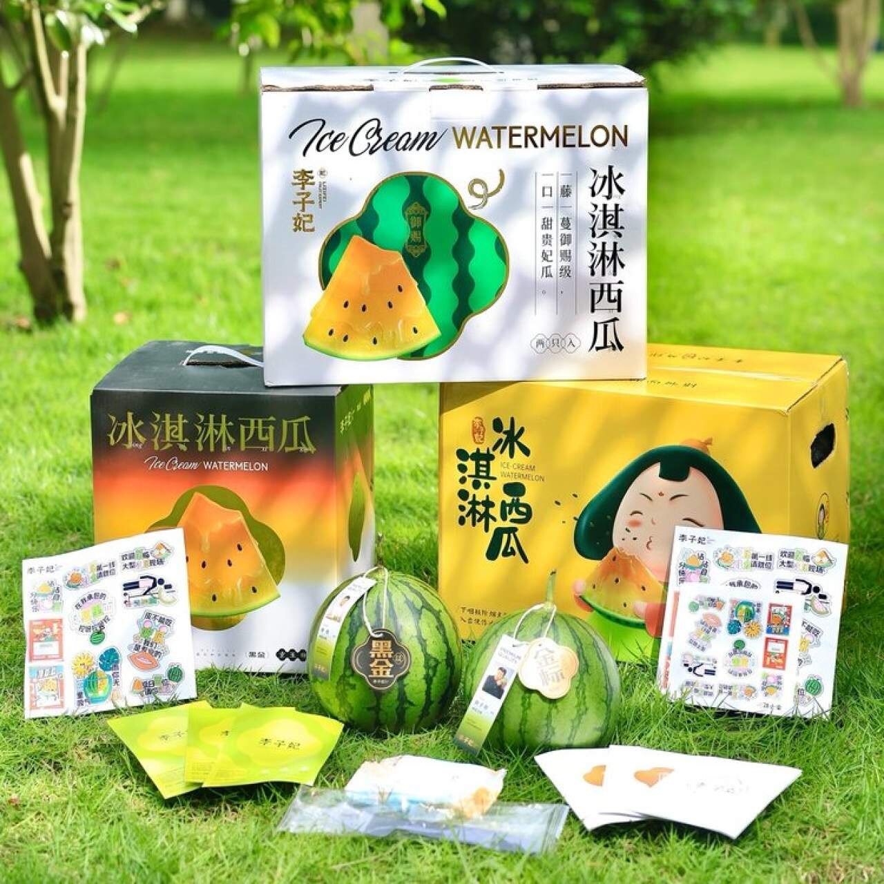 冰淇淋双色西瓜皮薄新鲜时令现摘现发一藤一瓜甜高李子妃西瓜现摘
