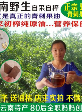 农家自榨青刺果油云南纯天然野生食用植物油500ml包邮送种子油枯