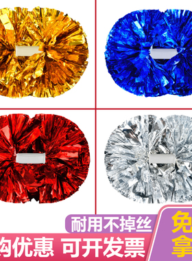 花球啦啦队手花拉拉队花球啦啦操花球小学生手花舞蹈演出啦啦彩球