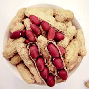 东北红衣生花生花生果新鲜红皮带壳花生 新货满2斤包邮