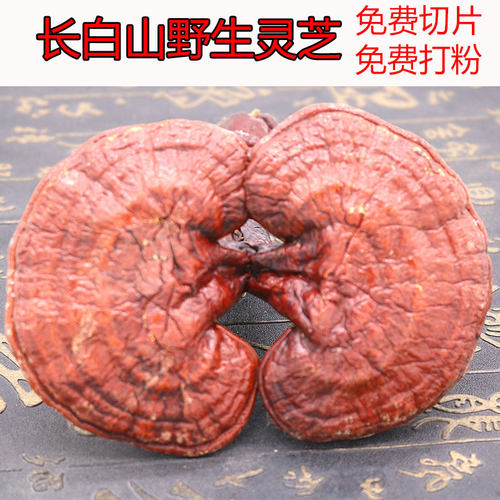 长白山正品灵芝500g包邮赤灵芝宜搭配锁阳肉苁蓉淫羊藿玛卡泡酒料