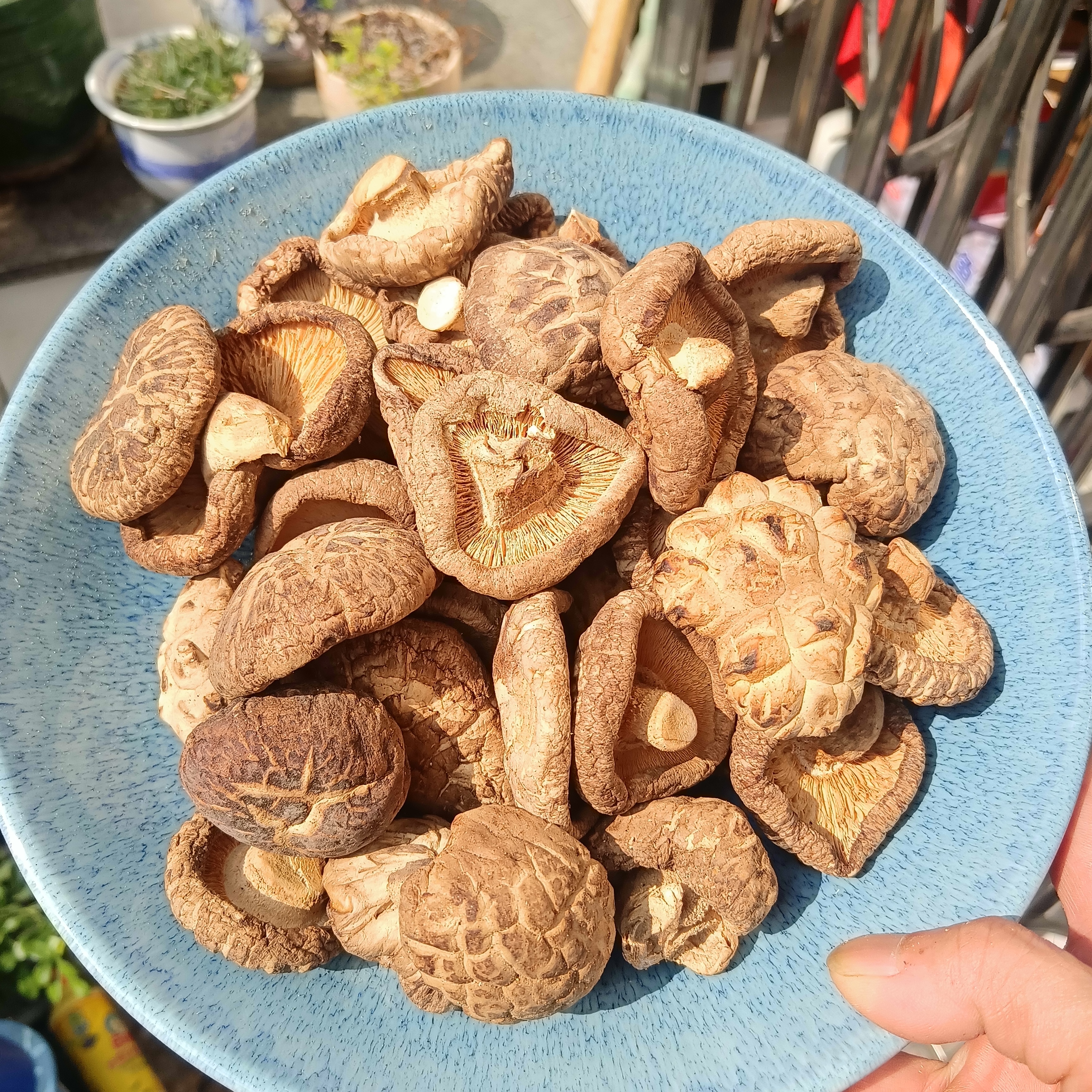 香菇干货花菇干南货