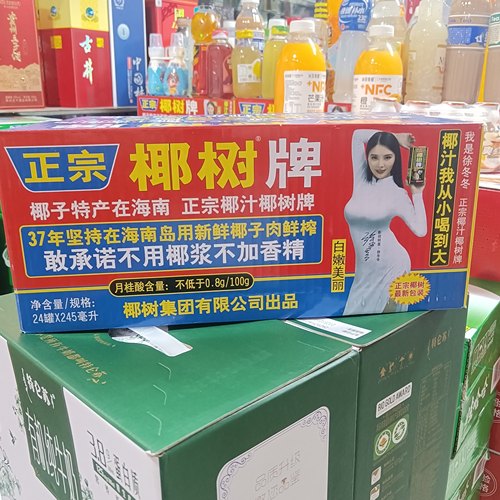 椰树牌椰汁海南特产椰子汁245mlX24罐椰子汁