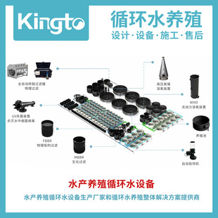 工厂化循环水育苗系统 智能化循环水养殖整体解决方案 成鱼系统
