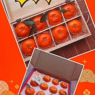 家庭超值欢乐装 武鸣沃柑 一起来一起沃 全家乐分享 中昌1号