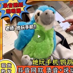 会学说话的鹦鹉鸟可录音啪啪圈玩偶手腕毛绒玩具公仔老师她玩手机