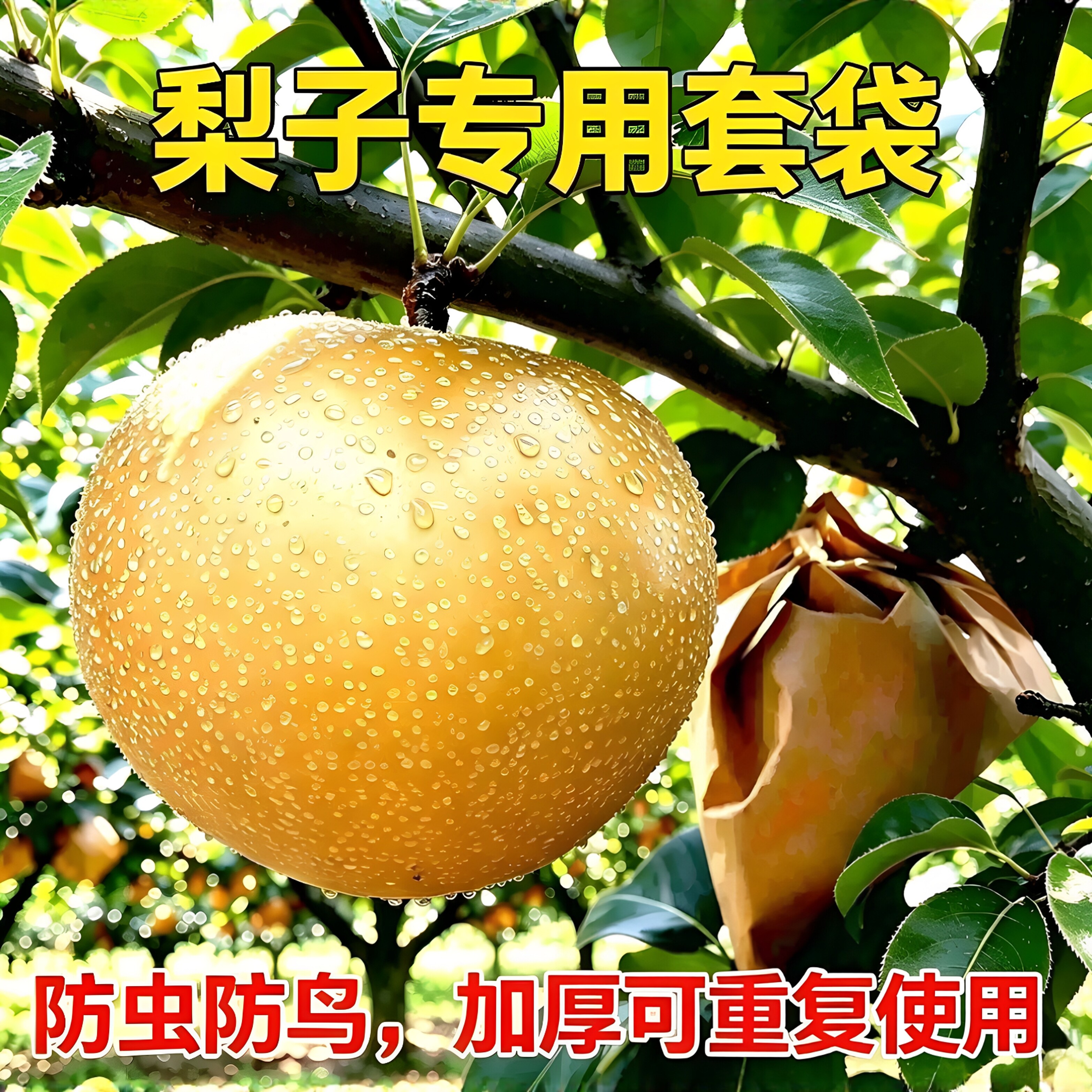 梨子套袋专用袋 梨套袋专用袋 套梨的袋子 梨树套袋 梨子专用套袋