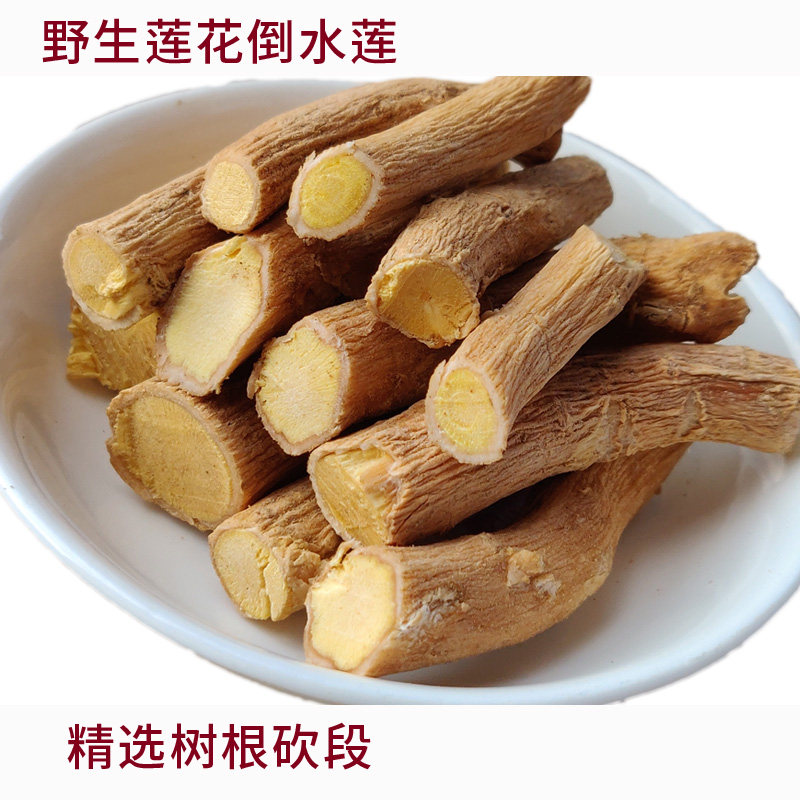 野生黄花倒水莲 观音串树根倒吊黄黄花远志 黄花参观音串煲汤泡酒